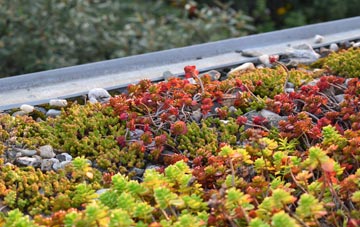 the cost of Wigborough green roof installation