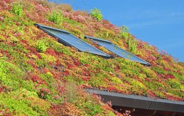 Wigborough living roof systems